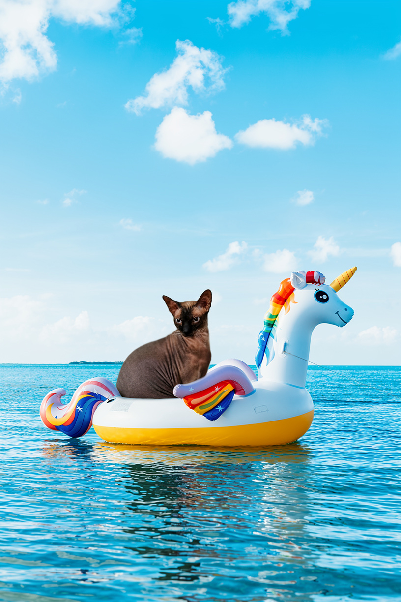 Создание фото с помощью искусственного интеллекта онлайн